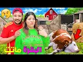 للاسف..بقرة المزرعة ماتت🐓بسبب عاصفة الامطار ‼️( ابتسام بكات عليها😭)