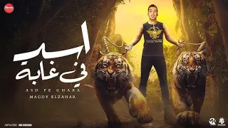 مهرجان اسد في غابة مجدي الزهار توزيع موحة برودكشن كلمات معتز الزهار مجدي الزهار مهرجانات 2025 