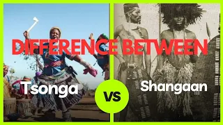 the difference between tsonga and shangaan tribes in south africa explained