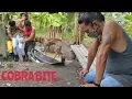 Download Lagu ANAK NI COBRA KING .NAKAGAT NG COBRA ..