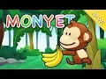 Download Lagu Lagu Anak Indonesia | Monyet