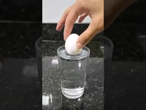 É Impossível Pegar o Ovo!