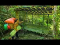 Download Lagu After many days passed, I decided to build a tent to take shelter in the forest,