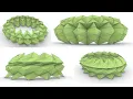 Parametric Stadium Triangulated Skin