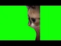 cat shocked or surprise green screen cat meme