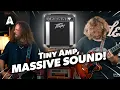 Download Lagu Small Simple Amp, Massive Sound! - Peavey Decade Too | Josh Homme Medley!