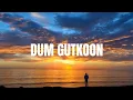 Lagu Dum Gutkoon | Lyrics | Hum Do Hamare Do | Rajkummar, Kriti |Sachin-Jigar|Master Saleem Divya|Shellee