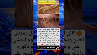 معلومه أول مرة أسمع بها عن كائن العث الذي يعيش داخل رموش العين ويخرج أثناء النوم 