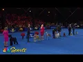 National Dog Show 2024 Best in Show Full Judging NBC Sports