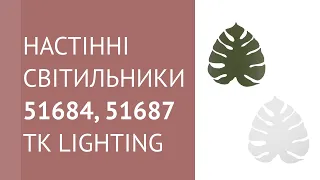 YouTube video preview gpltlcP0FH4