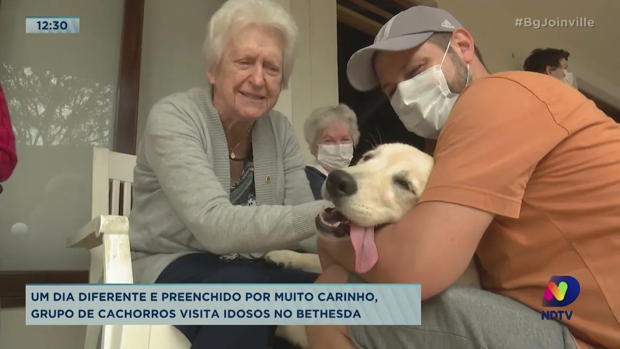 Um dia diferente e preenchido por muito carinho, grupo de cachorros visita idosos no Bethesda