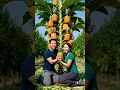 Lagu easy and fast method how to grow and propagate waxapple Pineapple trees #garden #plants #farming