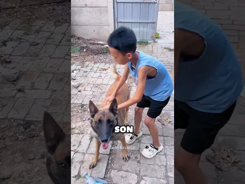 ¡Este Perro Le SALVÓ LA VIDA a Su Dueño!😱