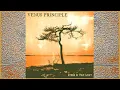 Download Lagu Venus Principle - Stand in Your Light. 2022. Progressive Rock. Full Album
