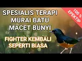 Download Lagu terbukti ampuh || terapi murai batu macet bunyi