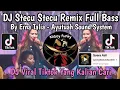 Download Lagu DJ STECU STECU REMIX FULL BASS MASHUP BY ERNA TALIA - AYUTUAH SOUND SYSTEM VIRAL TIKTOK