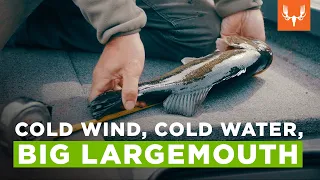 Cold Wind, Cold Water, Big Largemouth | Side Quests