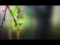 3HRS,  Chopin Nocturne No.1 Op 9,  l Relaxing Music l Beautiful Piano l Rain Sounds l Calm