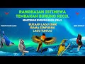 Download Lagu IRAMA dan TEMBAKAN Burung Kecil - Lagu TUNTAS (Masteran Suara BURUNG KECIL)