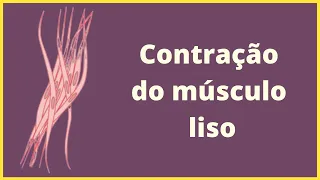 Contração do músculo liso - Fisiologia Humana