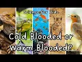 Warm-Blooded vs Cold-Blooded Animals What s the Difference Animal Adaptations Science for Kids