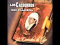 Ayer Salí De La Cárcel - Los Cachorros De Juan Villarreal