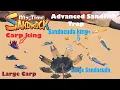 Advanced Sand fishing Trap Caught Carp King Large Carps In My Time At Sandrock