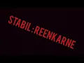 Stabil-reenkarne (sözleri)