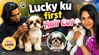 First hair cut🥺😍shihtzu care tips Thanjavur couple Reji💜John #dog #shihtzu #minivlog 