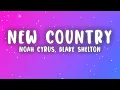 Download Lagu Noah Cyrus - New Country (Lyrics) ft. Blake Shelton