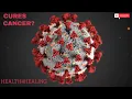 The Amazing Health Benefits of Lactobacillus Salivarius Fighting Cancer and More