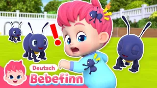 Die winzig kleinen Ameisen | EP138 | Sing mit Bebefinn | Bebefinn Deutsch - Kinderlieder