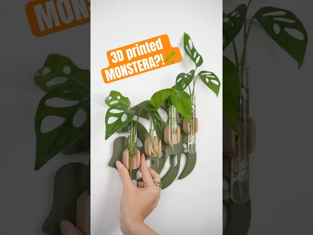 MONSTIA – Monstera Wall Plant Propagation Station (Magnetic Test Tube Holder) video thumbnail