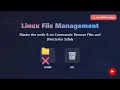 Linux File Management rmdir rm Commands Explained for Beginners