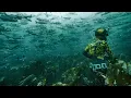 INSANE BASS MEGA SHOAL Spearfishing UK with Joe PK
