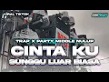 Download Lagu DJ CINTA LUAR BIASA MIDDLE TASSO NROTOK VIRAL TIKTOK TERBARU 2025