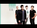 Skank - Te Ver