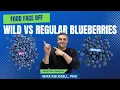 Violet Beauregarde Approved Food Face Off Challenge Wild Blueberries vs Regular Blueberries