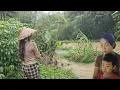Download Lagu The rainy season is the most frightening season. Water rises and floods into the house
