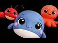 Calm Bunny Underwater | High Contrast Sensory Video for Babies & Toddlers 🐠