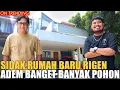 Download Lagu SIDAK RUMAH RIGEN HASIL DARI MARAH-MARAH.. ADEM BANGET BANYAK POHONNYA