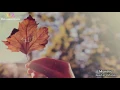 Download Lagu Ya Rahman (Nasheed) | سعد الغنام - يا رحمن | Saad al-Ghanam