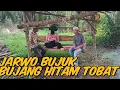Download Lagu BANG REY LAMPUNG TERBARU🔴 JARWO MEMUJUK BUJANG HITAM IKUT TOBAT 