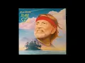 Willie Nelson - Cold November Wind