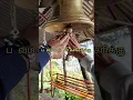 Download Lagu Kovil Mani Osai  song 💕#| Kizhakke Pogum Rail movie song ❤️#| kousha _112🌹🙏