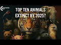 Top 10 Endangered Animals That Might Extinct In 2025 Factastic TV