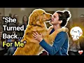 Lagu When Dogs Choose Their Owners — She Almost Left… Then She Chose ❤️
