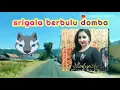 Lagu Lagu Srigala berbulu domba,Vocal Noer Halimah