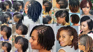 Classy Stylish Twist Braids Hairstyles for Black Women Twisting Braids Hairstyles
