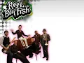 Reel Big Fish: Beer